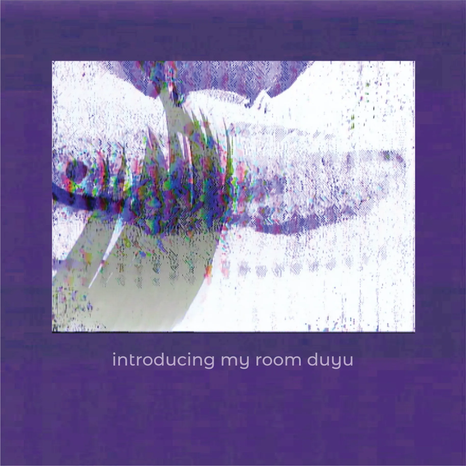 introducing my room